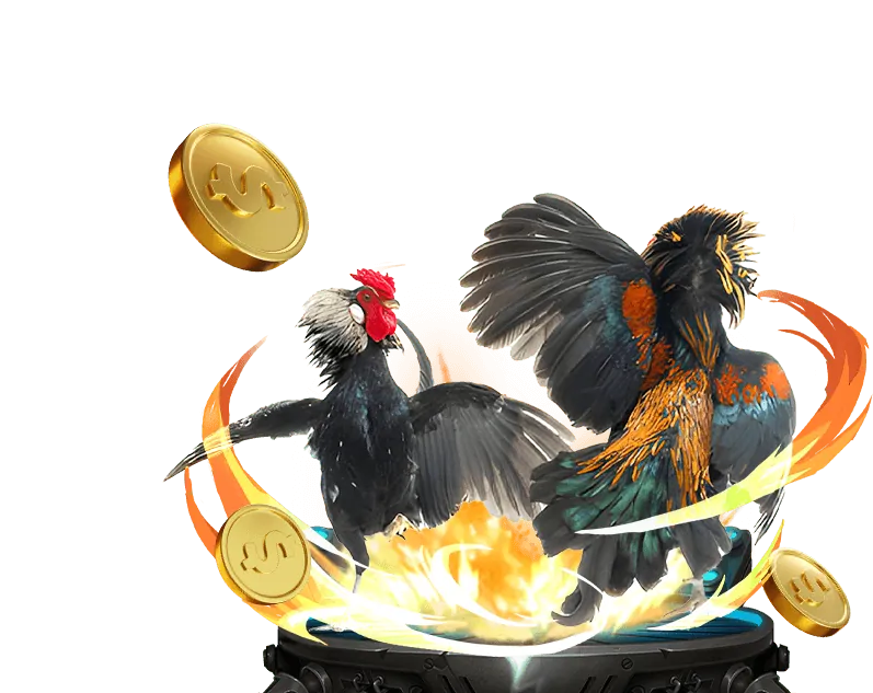 Người chơi đang tận hưởng lợi ích từ nhà cái uy tín